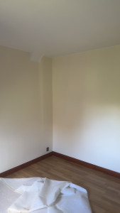 Photo de galerie - Peinture - Tapisserie