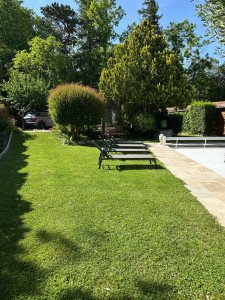 Photo de galerie - Tonte