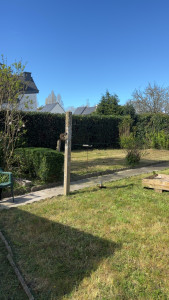 Photo de galerie - Taille de haie 