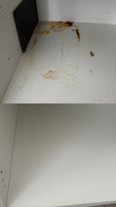 Photo de galerie - Ménage