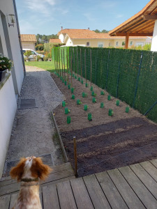 Photo de galerie - Confection petit jardin potager 