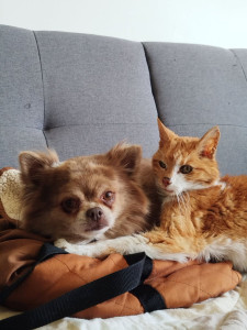 Photo de galerie - Petite garde 
