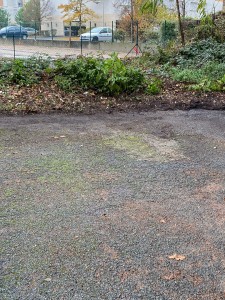 Photo de galerie - Enlèvement de feuille sur un parking 