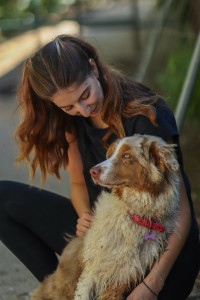 Photo de galerie - Balade canine 