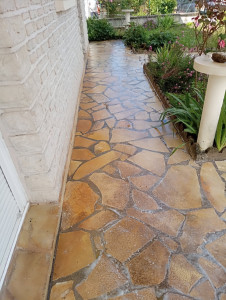 Photo de galerie - Nettoyeage de cour 