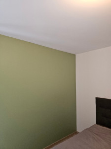 Photo de galerie - Face de peinture 