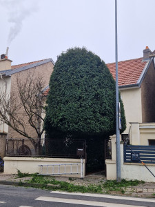 Photo de galerie - Chantier terminé