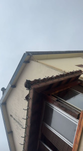 Photo de galerie - Couverture - Toiture