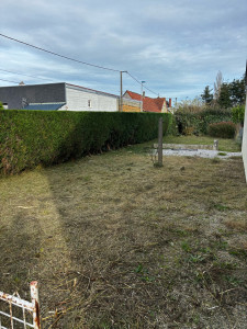 Photo de galerie - Taille de haie 