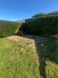 Photo de galerie - A