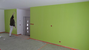 Photo de galerie - Travaux de peinture d'un salon