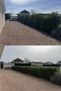 Photo de galerie - Travaux, espace vert