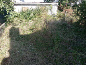 Photo de galerie - .