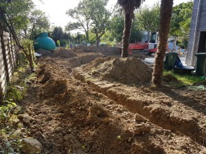 Photo de galerie - Pelle (jardinage)