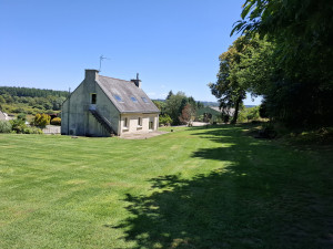 Photo de galerie - Tonte de pelouse debroussaillage 
