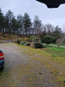 Photo de galerie - Taille haie et mise au propre supression arbuste envahissant 