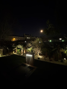 Photo de galerie - Jardin japonais de nuit 