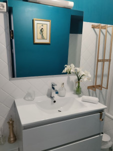 Photo de galerie - Exemple d'une SDB d'un des logements que je m'occupe en ménage plus blanchisserie sur Airbnb/Booking.