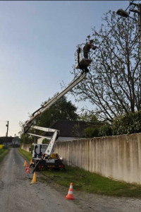 Photo de galerie - Dégagements fil électrique 