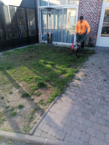 Photo de galerie - Préparation sol avant de semer le gazon avant et après