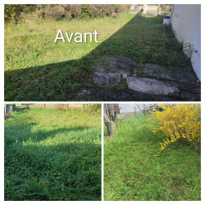 Photo de galerie - Nettoyage des espaces verts d'une maison avant une vente.