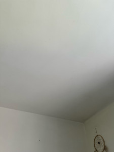 Photo de galerie - Lessivage des murs et plafond 