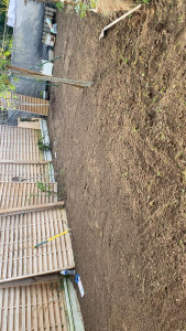 Photo de galerie - Jardinier