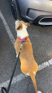 Photo de galerie - .