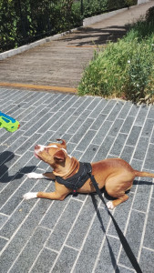 Photo de galerie - Joueuse