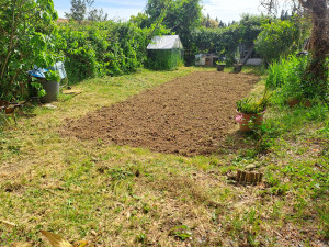 Photo de galerie - Préparation potager debroussaillage plus travail du sol après 