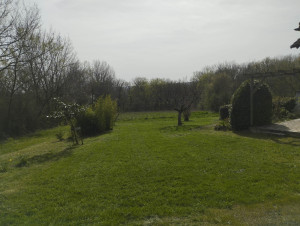 Photo de galerie - Tonte pelouse nettoyage extérieur 