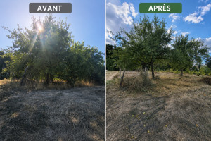 Photo de galerie - Avant après 