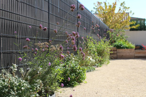 Photo de galerie - Massif de vivaces sur de petits espaces, tout en longueur. Les végétaux au port libre et aérien apportent de la légèreté. La palette végétale est composée d' espèces mellifères et comestibles pour un lieu vivant et accueillant.