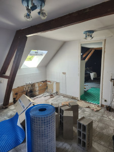 Photo de galerie - Rénovation SDB (avant)