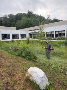 Photo de galerie - Tonte de pelouse - Débroussaillage