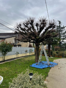 Photo de galerie - Avant