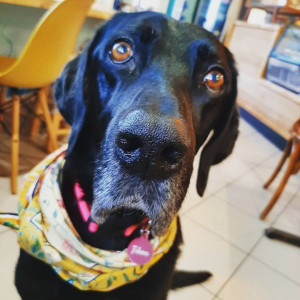 Photo de galerie - De l amour, des jeux et des papouilles