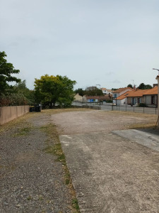 Photo de galerie - Tonte de pelouse - Débroussaillage