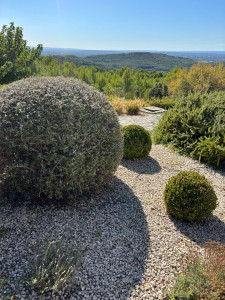 Photo de galerie - Paysagiste - Aménagement du jardin