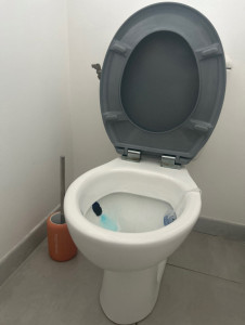 Photo de galerie - Pose wc 