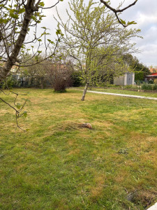 Photo de galerie - Tonte/debrousaillage 