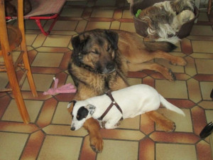 Photo de galerie - Chez nounou