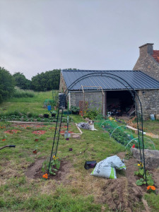 Photo de galerie - Réalisation d'un potager simple et avec de bons rendement en légumes.
jouer sur les hauteurs et le sol
