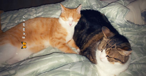 Photo de galerie - Dodo !