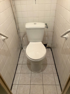 Photo de galerie - Pose de toilettes handicapées 