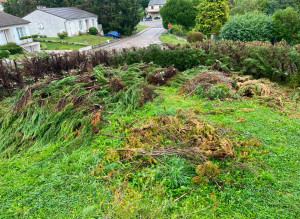 Photo de galerie - Plusieurs Tonnes de déchets verts 