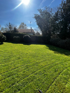 Photo de galerie - Tonte de pelouse 