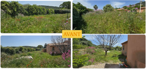 Photo de galerie - Jardin du client avant tonte débroussaillages et désherbage 
Herbes très haute