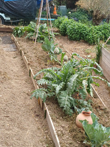 Photo de galerie - Paysagiste - Aménagement du jardin