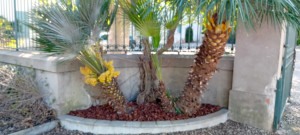 Photo de galerie - Remise en état d'une entrée 